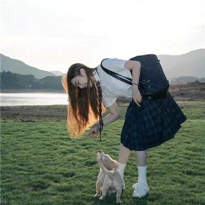 大野龙虎狗