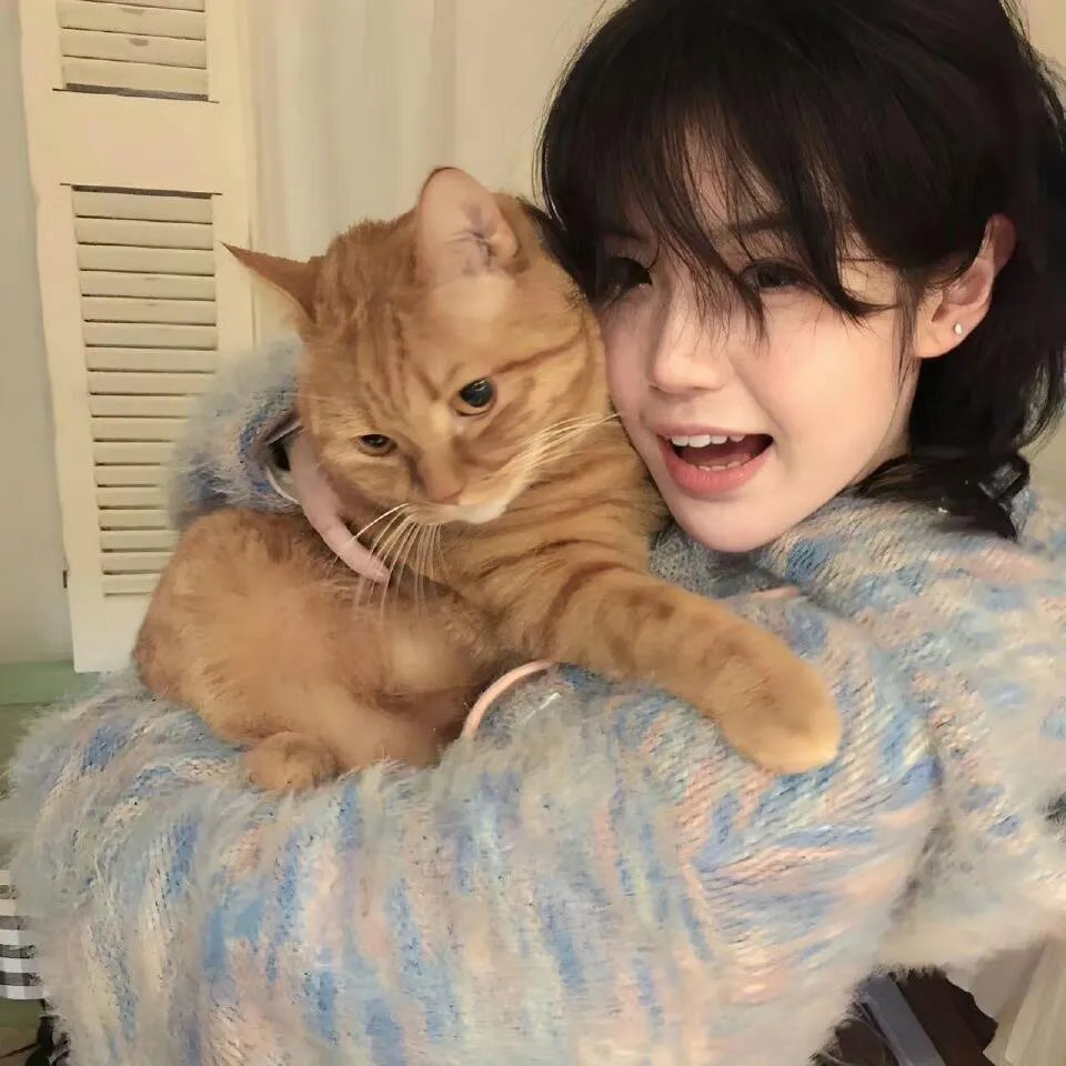 泰山功夫